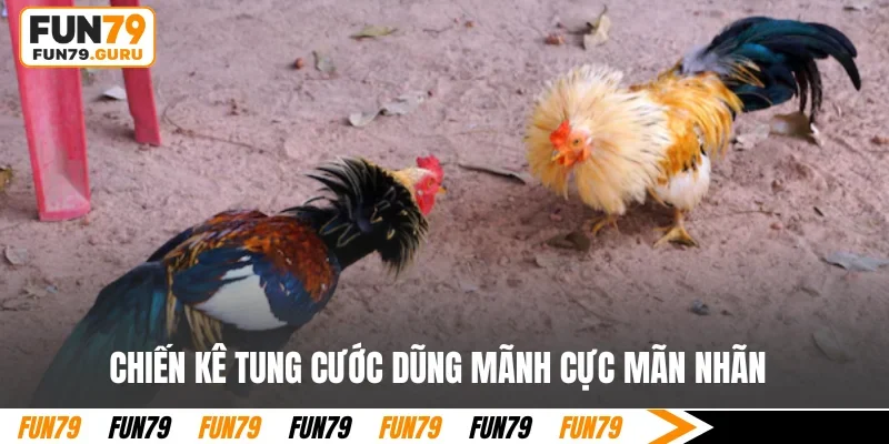 Chiến kê tung cước dũng mãnh cực mãn nhãn